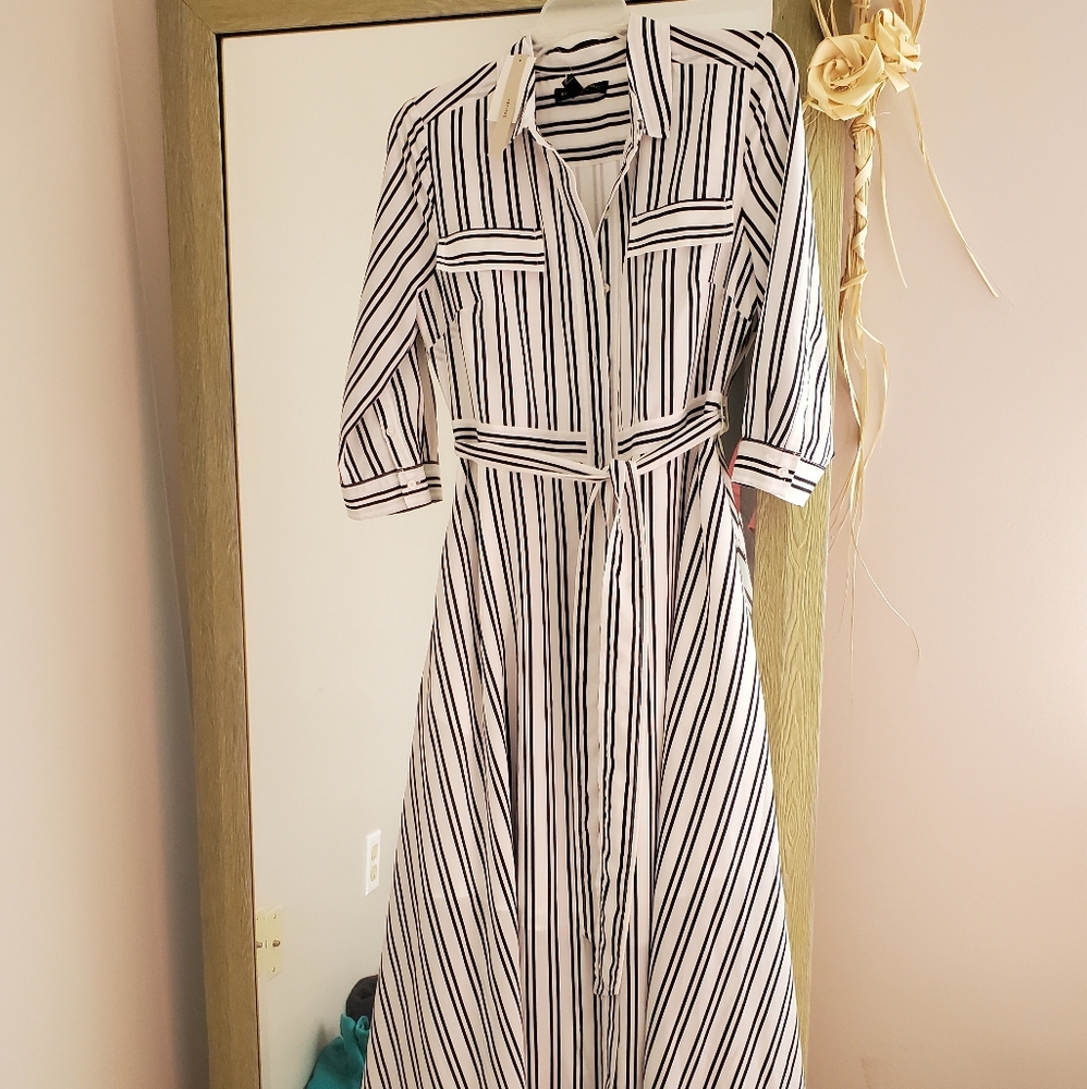 Banana Republic Maxi Dress